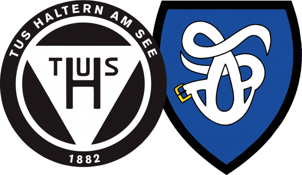 3er Set Aufkleber TuS Haltern